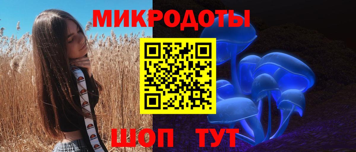 Галлюциногенные грибы Psilocybe  Вход с VPN  Светлоград  Галлюциногенные грибы Psilocybine cubensis 